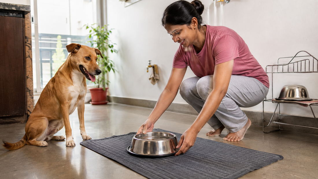Indian pet parent placing a freshly cleaned stainless-steel dog water bowl on a washable mat